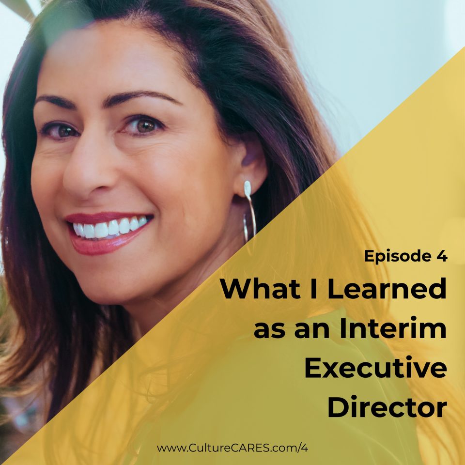 What I Learned as an Interim Executive Director